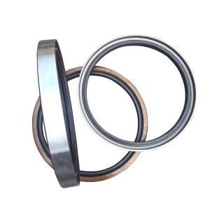 Kinerja tinggi TC TB TA SA Jenis FKM Viton Oil Seals