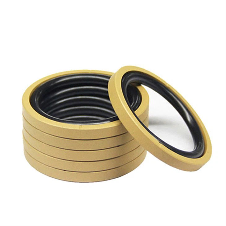 Piston Glyd Ring PTFE Seal